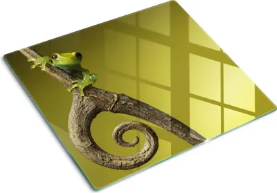 Obrázok produktu pre Sklenená ochranná doska – Kryt varnej dosky – Kryt na indukčnú dosku – 2x30x52 cm – Rýchle čistenie – Tvrdené sklo – Zelená rosnička