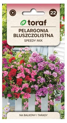 Zdjęcie produktu dla Pelargonia zwisająca SPEEDY MIX 10 szt.