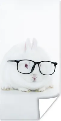 Produktbild von MuchoWow® Poster Kaninchen - Brille - Hipster 40x80 cm - Dekoration
