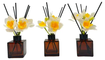 Leere Diffuserflasche mit Sticks, 3er-Set, 100 ml, braun
