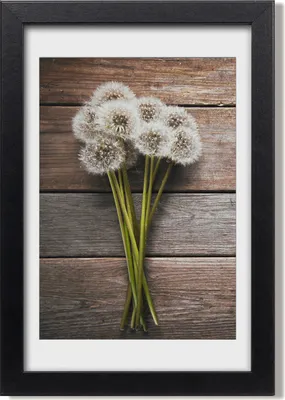 Produktbild von Bild 20x30 MDF-Rahmen, Wandkunst Ein Blumenstrauß von Dandelern