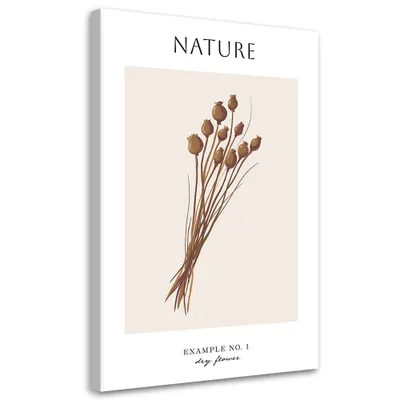 Produktbild von Leinwandbild Trockenblume – Natur 40x60 Feeby Beige bild für die wand bereit zum aufhängen
