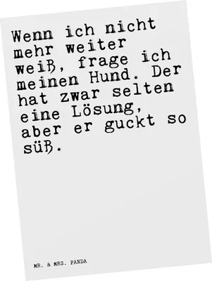 Produktbild von Mr. & Mrs. Panda Ansichtskarte Wenn ich nicht mehr... - Weiß - Geschenk, Tier, Postkarte, einzelkarte, Hund, Kunstkarten, Frauchen, Spruch, Postkarten, Sprüche, Grußkarte