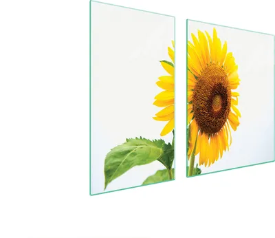 Immagine prodotto di Piastre copri fornelli 2 pezzi 90x52 Copri piano cottura in Vetroceramica tagliere in vetro giallo girasole