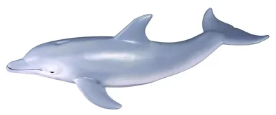 Image de Collecta DELPHIN mular COLECTA