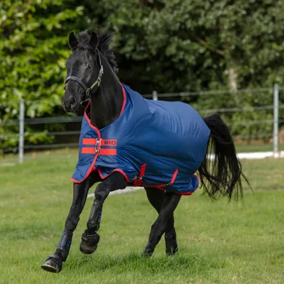 Immagine prodotto di Horseware Mio Turnout Medium 200g - Blu scuro e rosso, 115