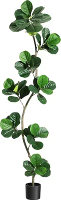 Obrázok produktu pre Umelo vyrobený figovník lyrata – dekoratívny strom vysoký 210 cm – imitácia rastliny Ficus lyrata – s čiernou kvetináčom – izbová rastlina – vhodný do obývačky, kancelárie, interiéru aj exteriéru