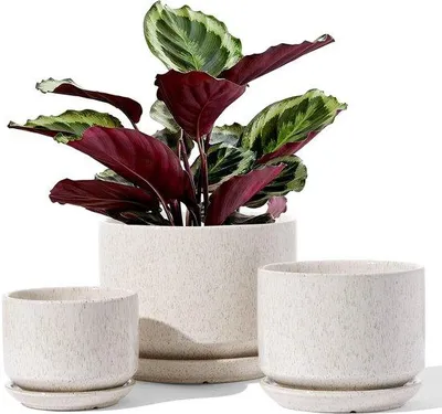 Produktbild von Keramische Blumenpotten Set mit Untersetzer und Abflusslöchern