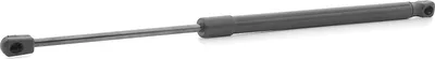 Produktbild von RIDEX 219G0975 Gasfeder Heckklappendämpfer für HYUNDAI i10 (PA) 460,5mm