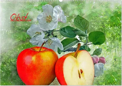 Produktbild von Obst (Wandkalender 2025 DIN A2 quer), CALVENDO Monatskalender