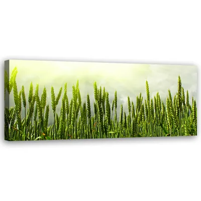 Produktbild von Leinwandbild Weizenfeld 90x30 Feeby Grün bild für die wand bereit zum aufhängen