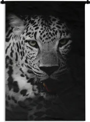 Produktbild von MuchoWow® Wandteppich Wandbehang Tiere - Schwarz - Weiß - Panther - Porträt 90x135 cm Tapisserie Dekoration Wandtuch - Baumwolle - Wandskulptur
