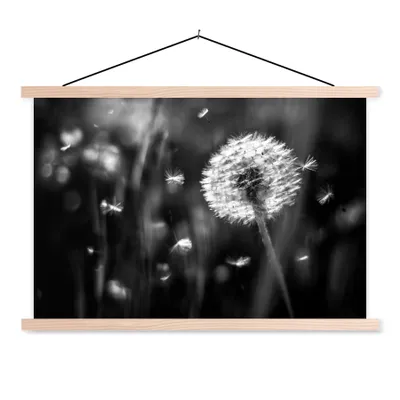 Produktbild von MuchoWow® Textilposter Löwenzahn - Schwarz - Weiß - Pflanze 120x80 cm mit holzfarbenen Rahmen - Aufhängeset