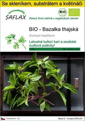 Obrázek produktu pro SAFLAX Kultivační sada - BIO - Bazalka thajská - Ocimum basilicum - 250 Semena - S mini skleníkem, pěstebním substrátem a 2 květináči