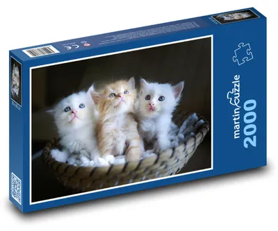 Obrázok produktu pre martinpuzzle - Puzzle 2000 - Maciatka