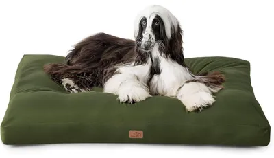 Produktbild von Hundekissen XXL 120x90cm Grün 10cm Höhe Waschbar Outdoor Gepolstert