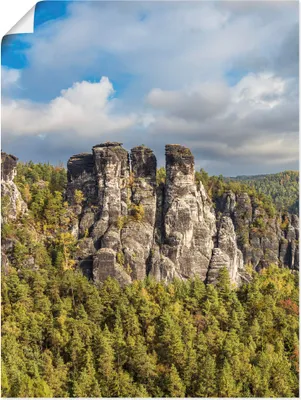 Produktbild von ARTland Poster Felsen Bäume Sächsische Schweiz III Größe: 45x60 cm