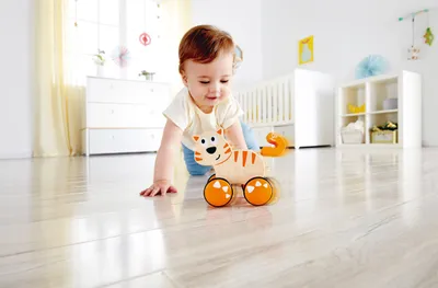 Produktbild von Hape E0363, 1 Monat( e), 4 Rad/Räder, Mehrfarbig
