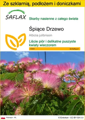 Zdjęcie produktu dla SAFLAX - Zestaw do uprawy - Śpiące Drzewo - 50 Nasiona - Z mini szklarnią, podłożem uprawowym i 2 doniczkami - Albizia julibrissin