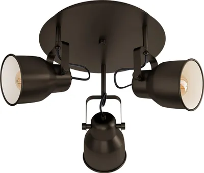 Zdjęcie produktu dla Lampa reflektor spot MITCHLEY 43388 Eglo