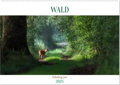 Produktbild von WALD Erholung pur (Wandkalender 2025 DIN A2 quer), CALVENDO Monatskalender