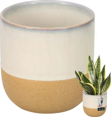Zdjęcie produktu dla KOTARBAU® Doniczka Beżowa Kremowa Pomarańczowa Ceramiczna Wysokość 13 cm ⌀ 13 cm doniczka do salonu Ręcznie wykonana doniczka do ogrodu i na balkon Doniczka Vintage Beżowa