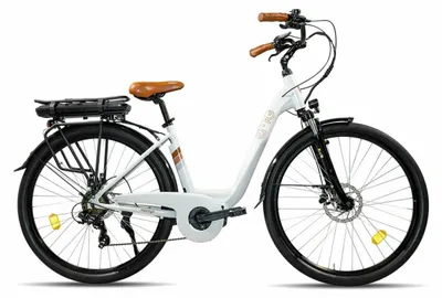 Obrázok produktu pre EMG Marilyn Plus, Lítium, 13 Ah, 36 V, 468 Wh, 23 kg, Hliník