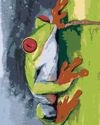 Produktbild von Zuty - Malen nach Zahlen - FROSCH AUF BAMBUS, 40x50 cm, mit Keilrahmen (bereits gespannt)
