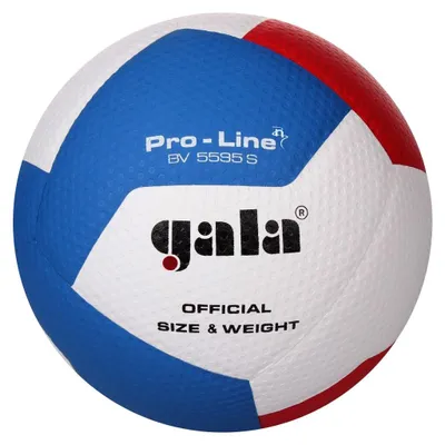 Produktbild von Volleyball Ball Pro-line Gala Bv5595s Handshake