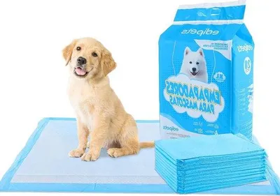 Obrázek produktu pro Podložky pro výcvik psů 90 x 60 cm, savé a hygienické