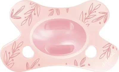 Produktbild von Difrax Natural Schnuller - 0-6 Mte - Dusty Pink Leafs | Difrax