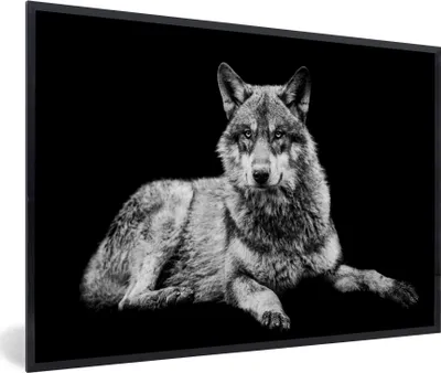Produktbild von MuchoWow® Gerahmtes Poster Wildlife - Wolf - Schwarz - Weiß 60x40 cm - Poster mit Schwarzem Bilderrahmen Wandposter Rahmen Foto Bilder - Printing - Wanddeko Schlafzimmer