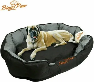 Produktbild von Orthopädisches Hundekissen XL Schwarz wasserdicht 105x80x22cm