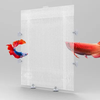Image de 2 séparateurs d'aquarium avec ventouses
