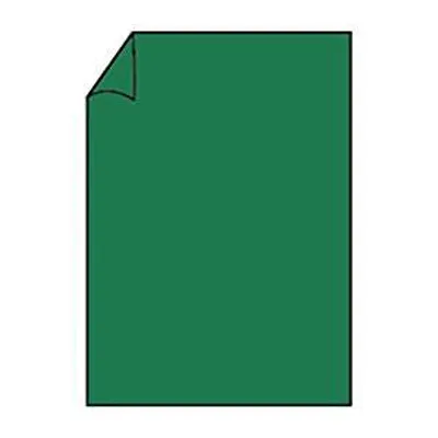 Zdjęcie produktu dla Briefpapier Paperado DIN A4 100 Tannengrün