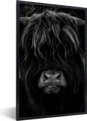 Produktbild von MuchoWow® Gerahmtes Poster Schottischer Highlander - Kuh - Schwarz - Weiß - Porträt 60x90 cm - Poster mit Schwarzem Bilderrahmen Wandposter Rahmen Foto Bilder - Kunst