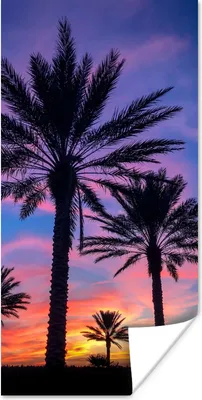 Produktbild von MuchoWow® Poster Palmen und ein Sonnenuntergang 20x40 cm - Plakat - Foto