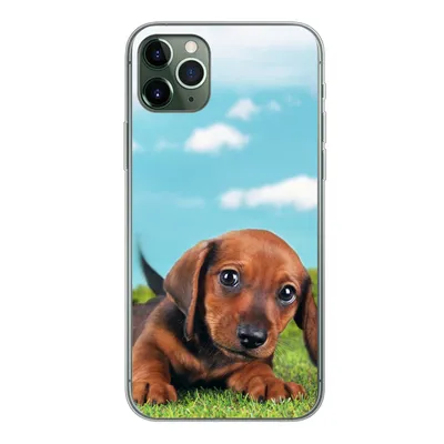 Produktbild von MuchoWow® Handyhülle Schutzhülle Hülle für iPhone 11 Pro Max Schöner Himmel über einem niedlichen Dackelwelpen Silikon Softcase Handy Hülle - Schutz