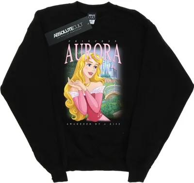 Produktbild von Disney - "Sleeping Beauty" Sweatshirt für Herren BI43372 (XL) (Schwarz)
