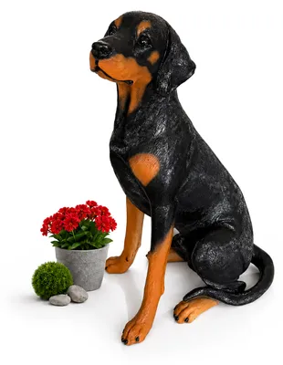 Immagine prodotto di Statua da giardino Relaxdays a forma di cane, statua di dobermann, A x L x P: 83 x 39 x 52 cm, poliresina, decorazione da giardino resistente alle intemperie, nero/marrone