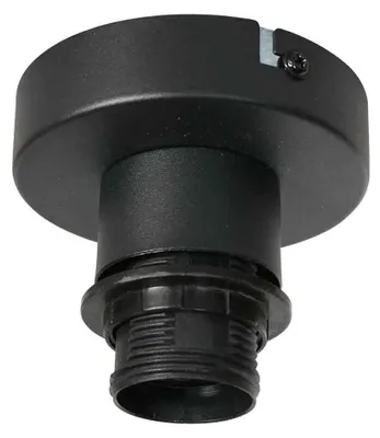 Obrázek produktu pro Steinhauer - stropní svítidlo - Bloeba - černá - kov - Ø 10cm - E27 - 4129ZW