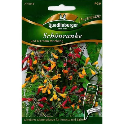 Zdjęcie produktu dla Quedlinburger Saatgut - Mieszanka czerwono-kremowa Schoenranke - Nasiona - 292044