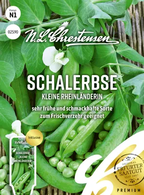 Artikelbild 1 von 'Schalerbse Kleine Rheinländerin' aus der Kategorie Schalerbsensamen
