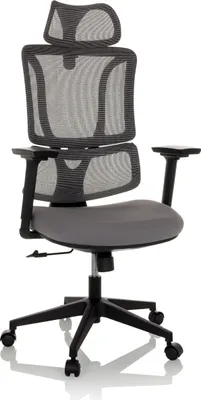 Produktbild von MyBuero Home Office Bürostuhl ERGOMY Schreibtischstuhl mit Armlehnen (höhenverstellbar) Stoff / Netzstoff Drehstuhl