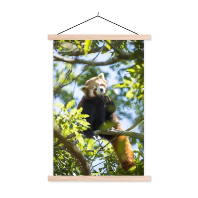 Produktbild von MuchoWow® Textilposter Panda - Pflanzen - Baum 60x90 cm mit holzfarbenen Rahmen - Textil