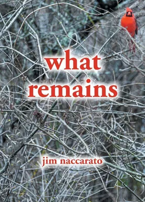 Produktbild von What Remains