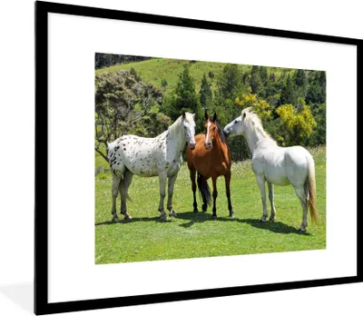 Produktbild von MuchoWow® Gerahmtes Poster Pferde - Baum - Schatten 80x60 cm - Poster mit Schwarzem Bilderrahmen Wandposter Rahmen Foto Bilder - Schlafzimmer-Dekorationen - Fotoposter