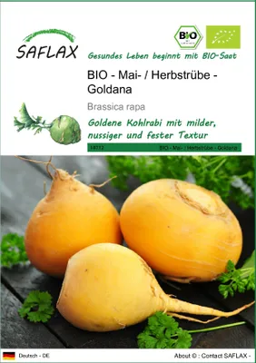 Produktbild von SAFLAX - BIO - Kohlrabi - Goldana - 500 Samen - Brassica rapa