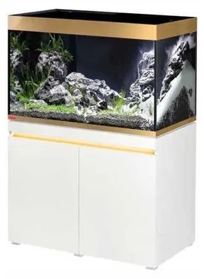Productafbeelding van Eheim Set Incpiria 330 | 330L | 100 x 60 x 65 CM Gold
