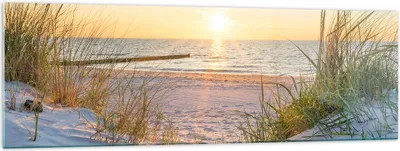Produktbild von Bilder auf glas - Düne Strand Meer - 160x50cm - Glasbilder - Wandbilder - Kunstdruck - zum Aufhängen bereit - Wanddekoration aus Glas - Glas Bilder - Wandbild auf Glas - Einteilig - GAB160x50-3989